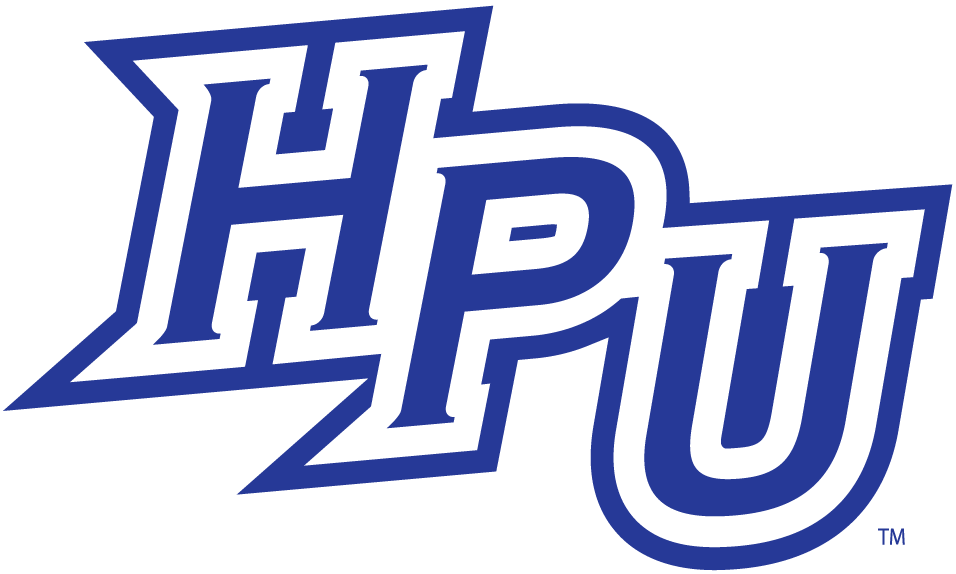 High Point Panthers 2004-2011 Alternate Logo v5 iron on transfers for T-shirts